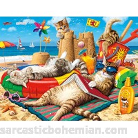 Buffalo Games Cats Collection Beachcombers 750 Piece Jigsaw Puzzle B07C9X7552